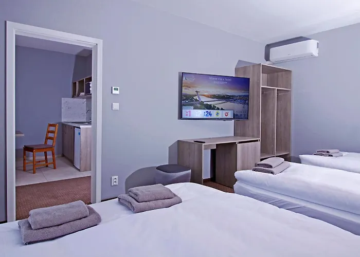 Otel Aviator Garni 3*